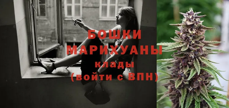 Бошки марихуана OG Kush  где найти наркотики  Карпинск 